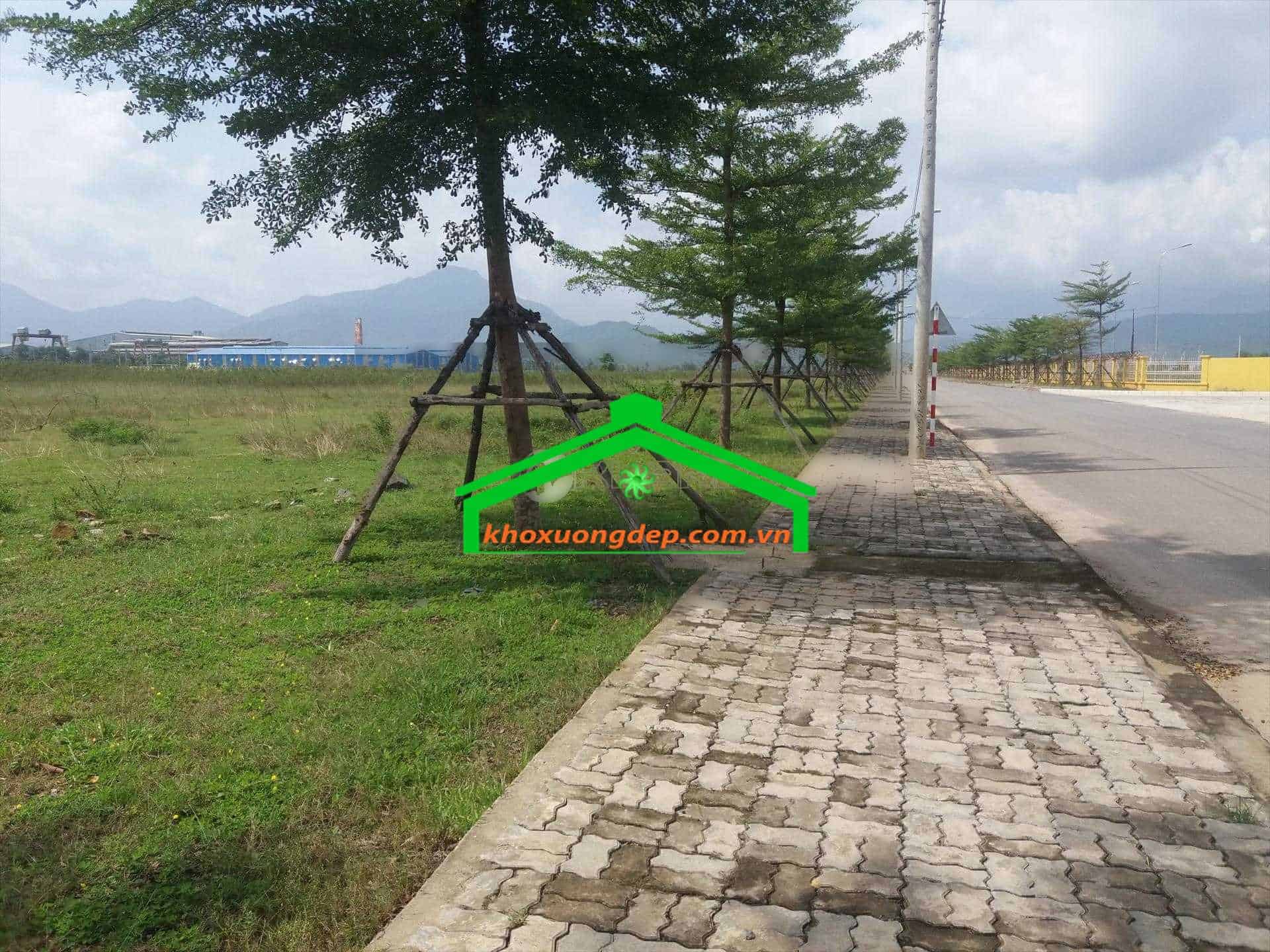 Ảnh 4