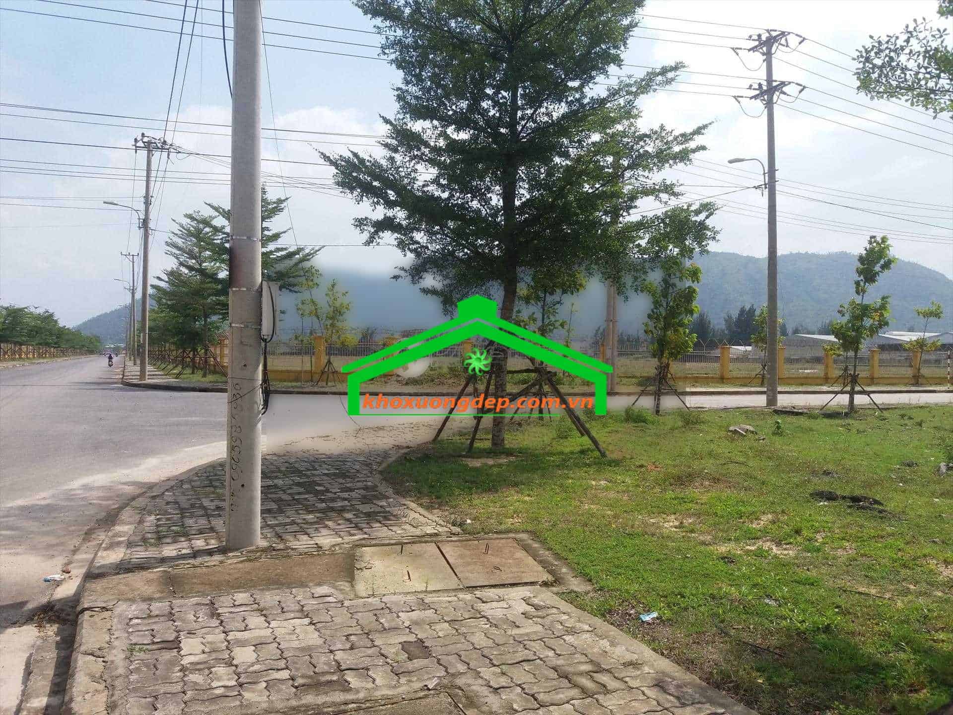 Ảnh 5