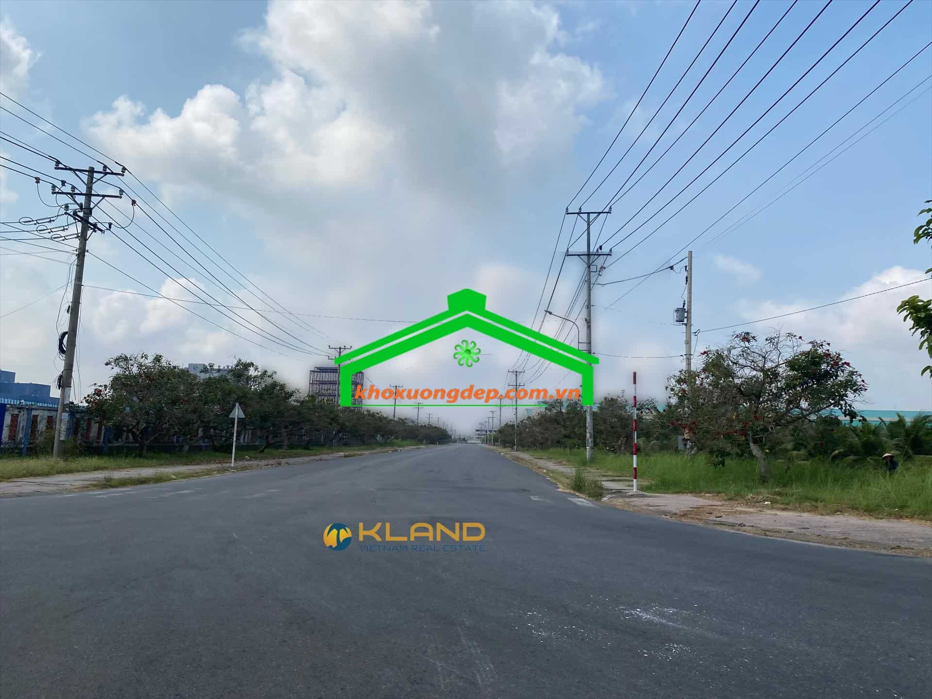 Ảnh 9