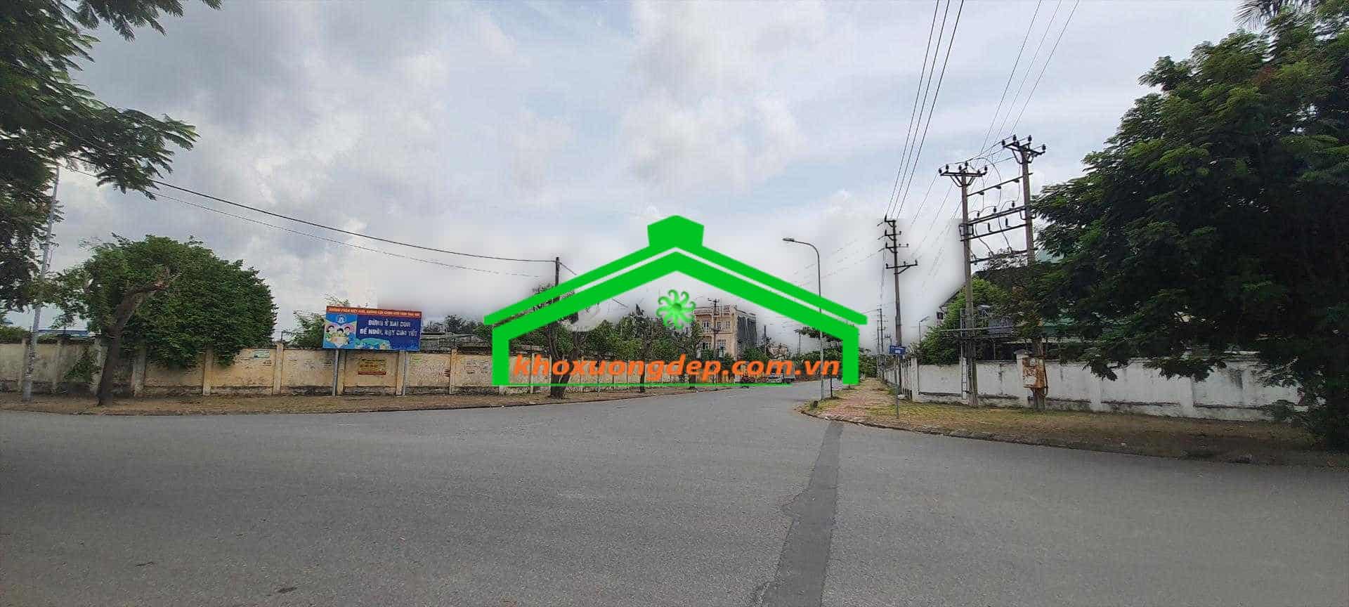 Ảnh 14