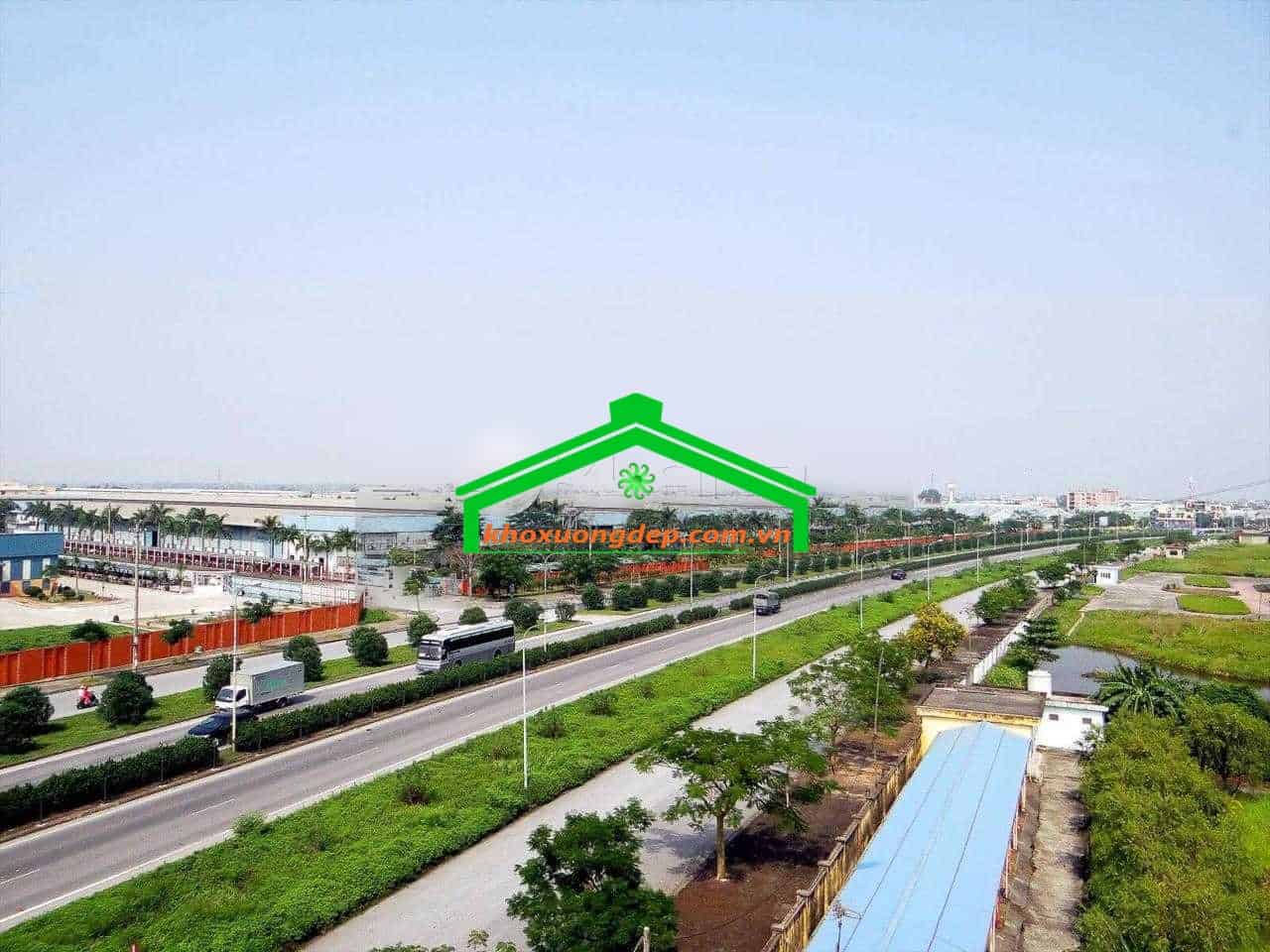 Ảnh 4