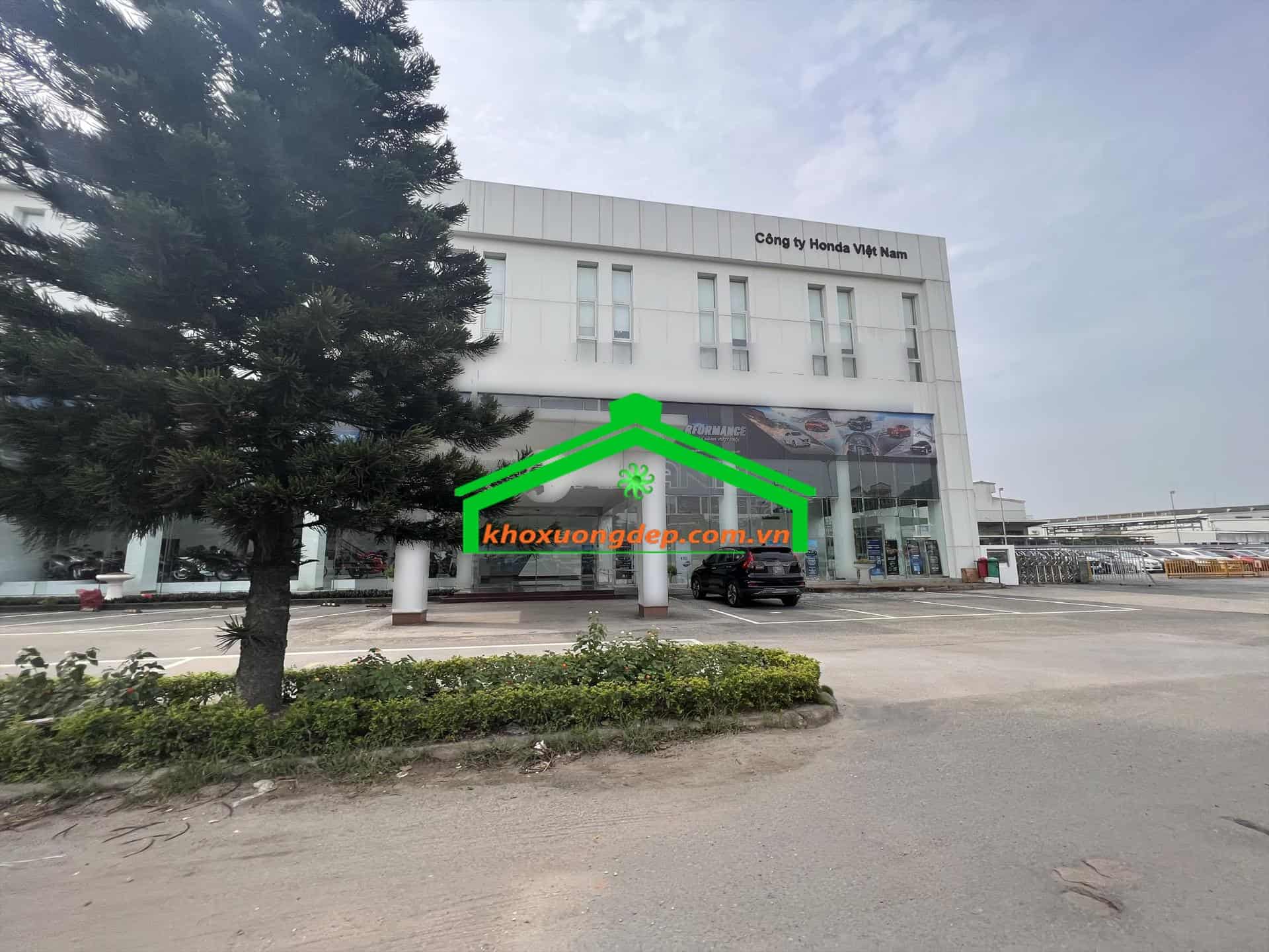 Ảnh 5