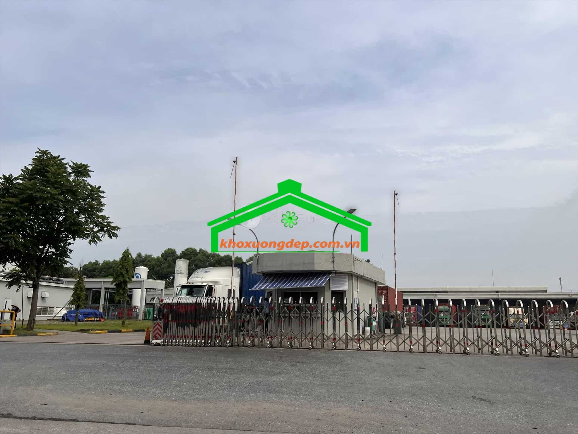 Ảnh 8