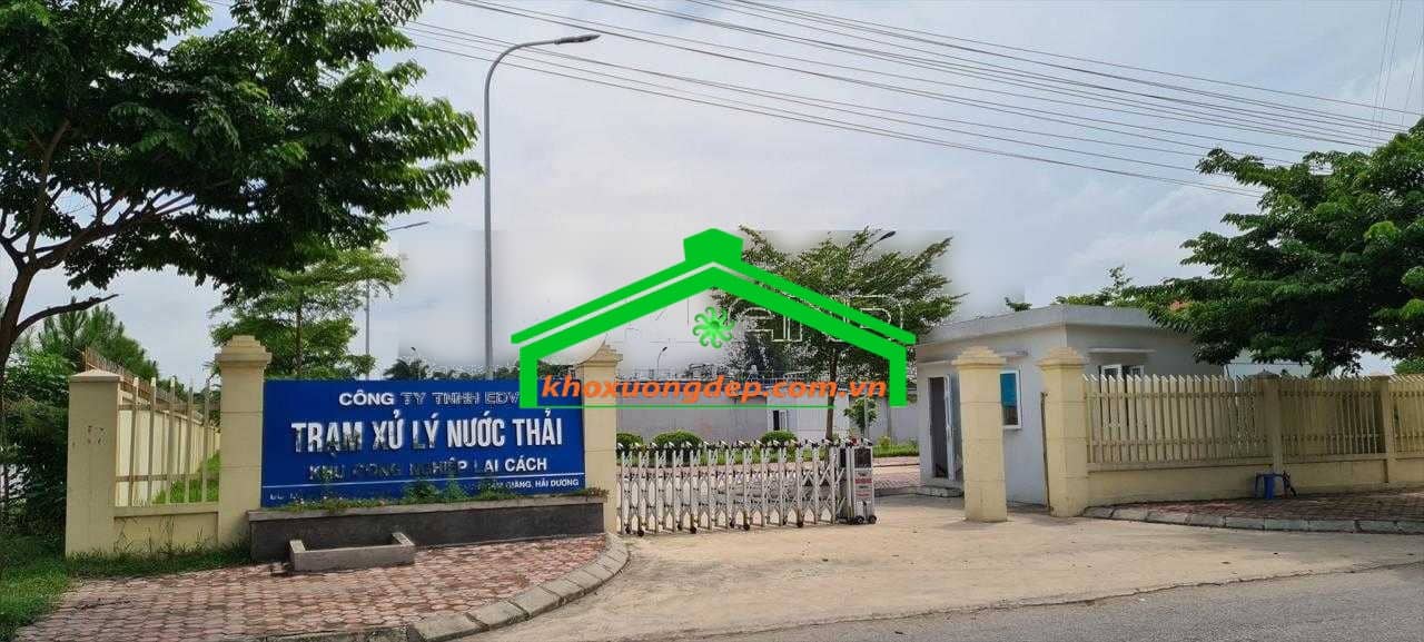 Ảnh 6