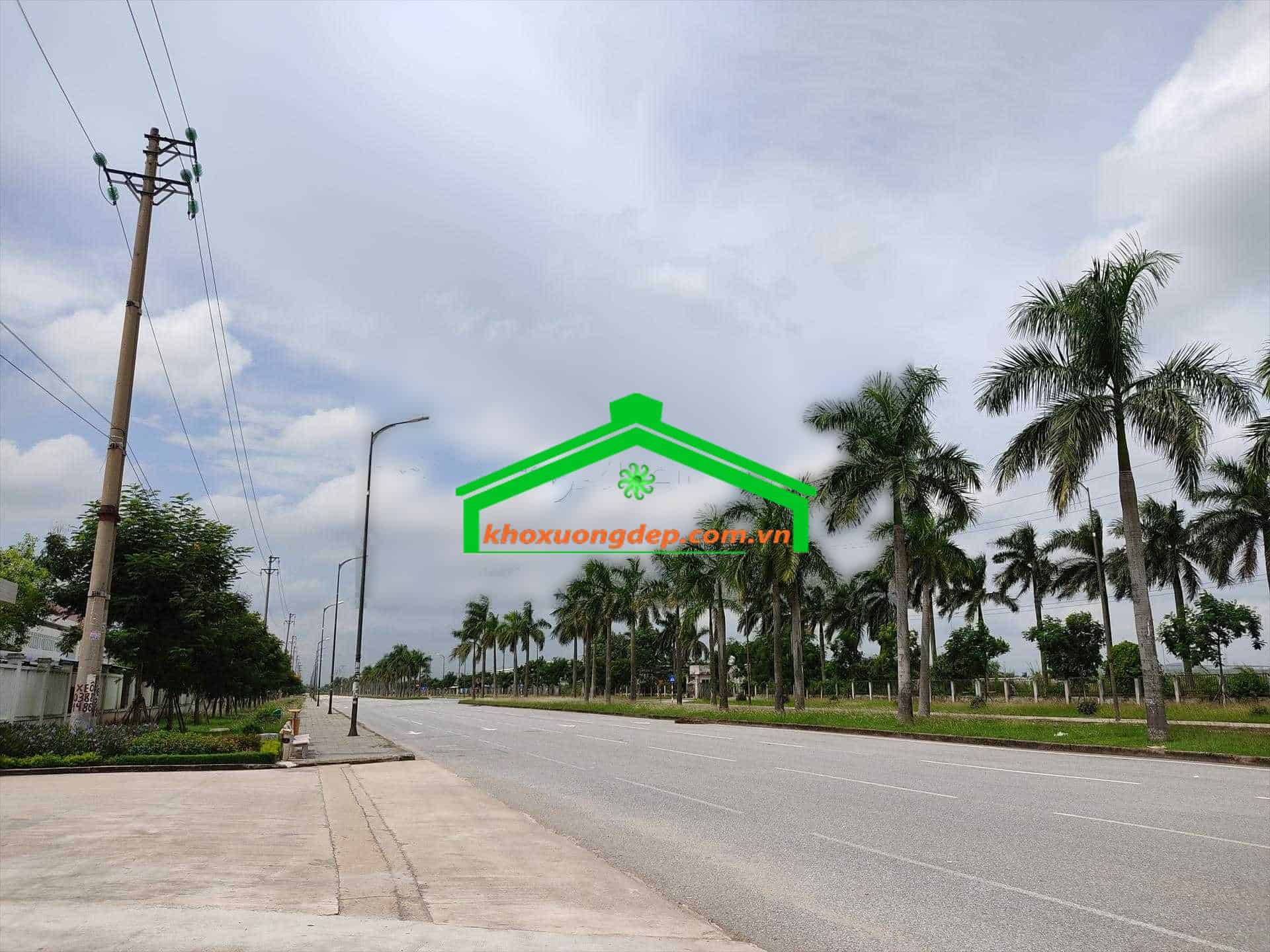 Ảnh 3