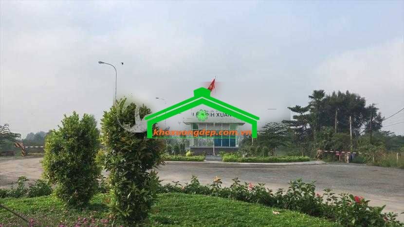 Ảnh 5