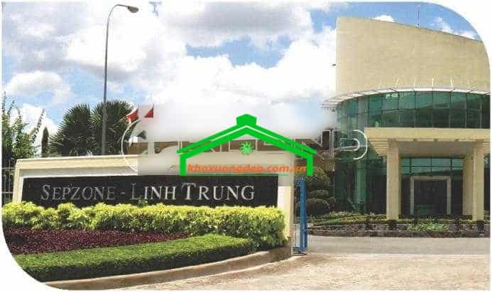 Ảnh 4