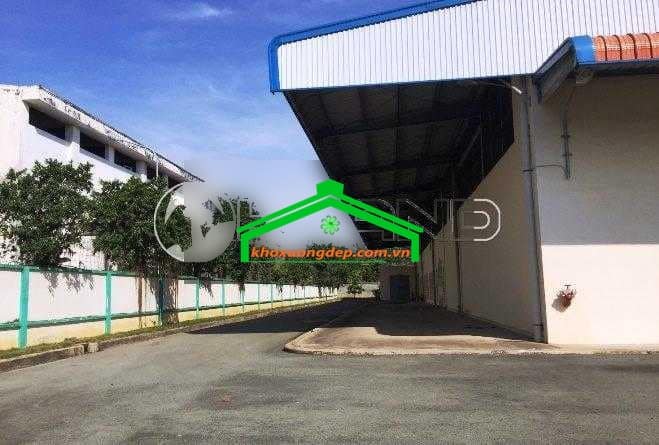 Ảnh 5