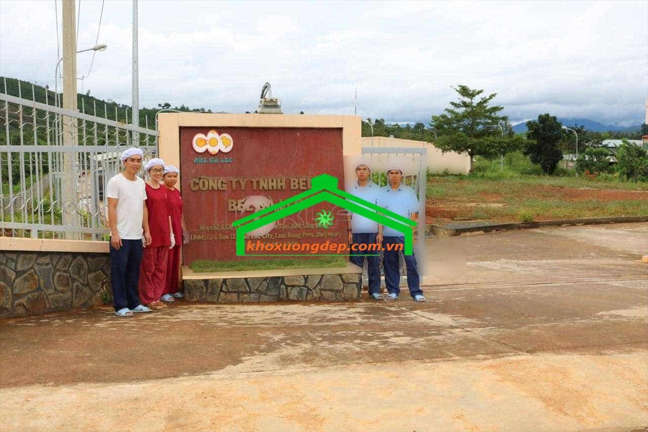 Ảnh 5