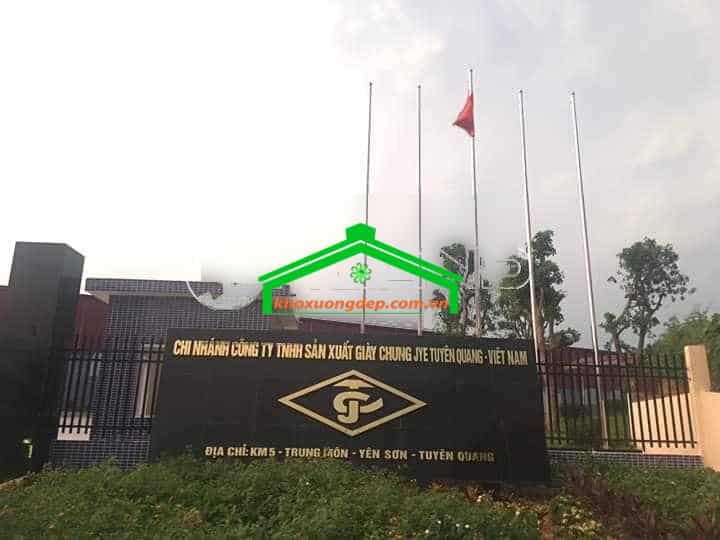 Ảnh 5