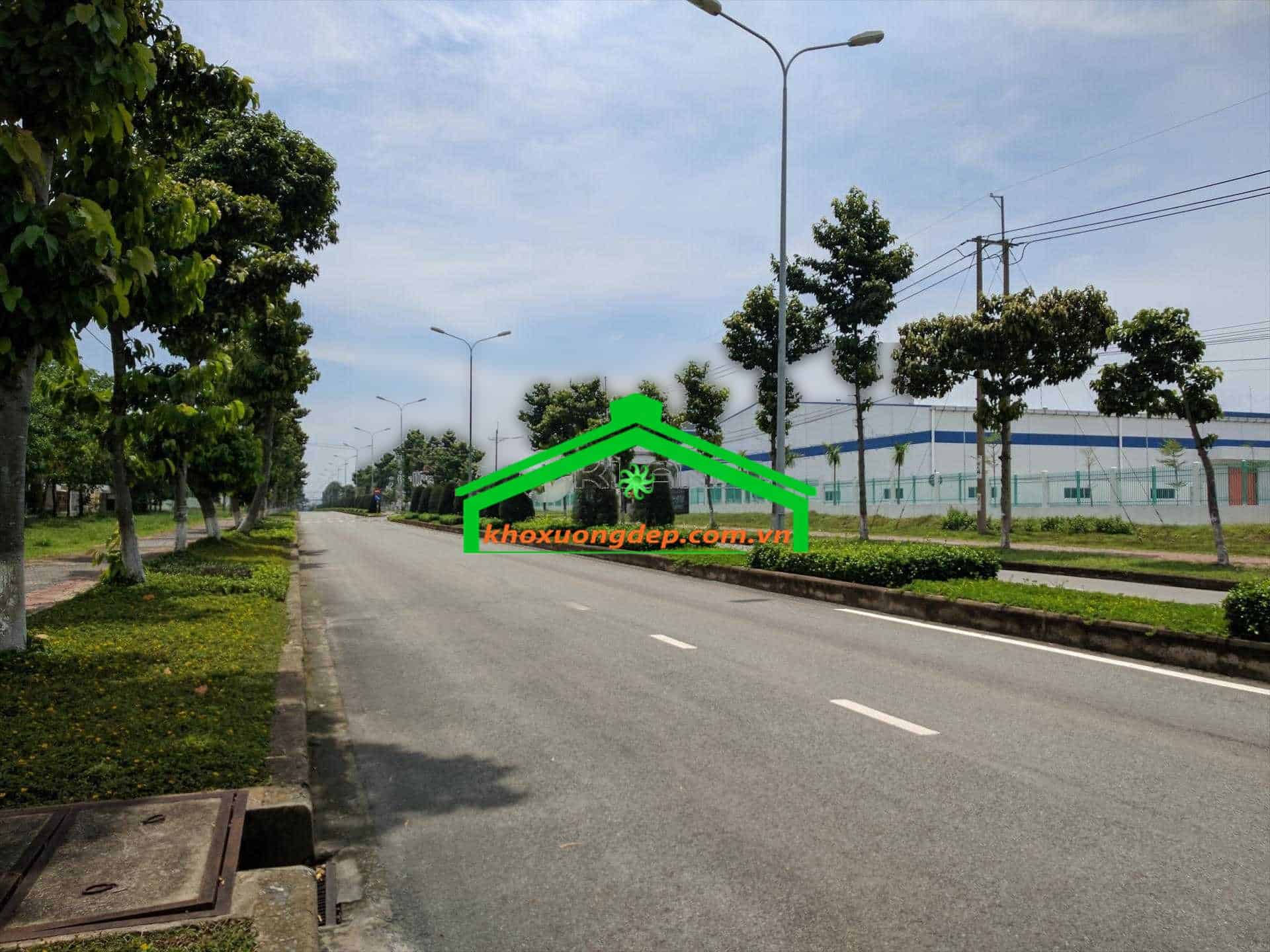 Ảnh 9