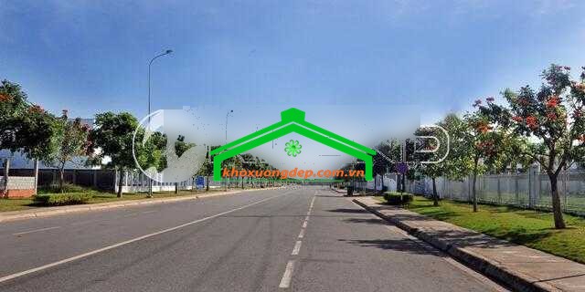 Ảnh 7