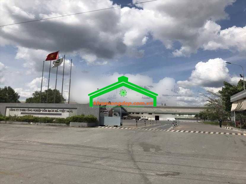 Ảnh 17