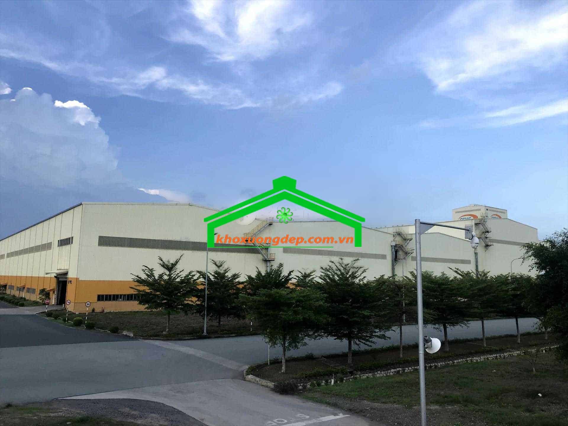 Ảnh 5