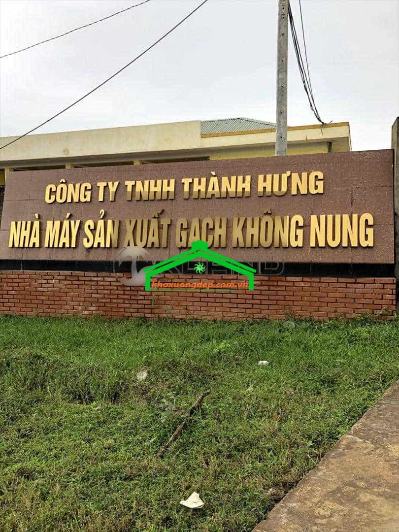 Ảnh 7