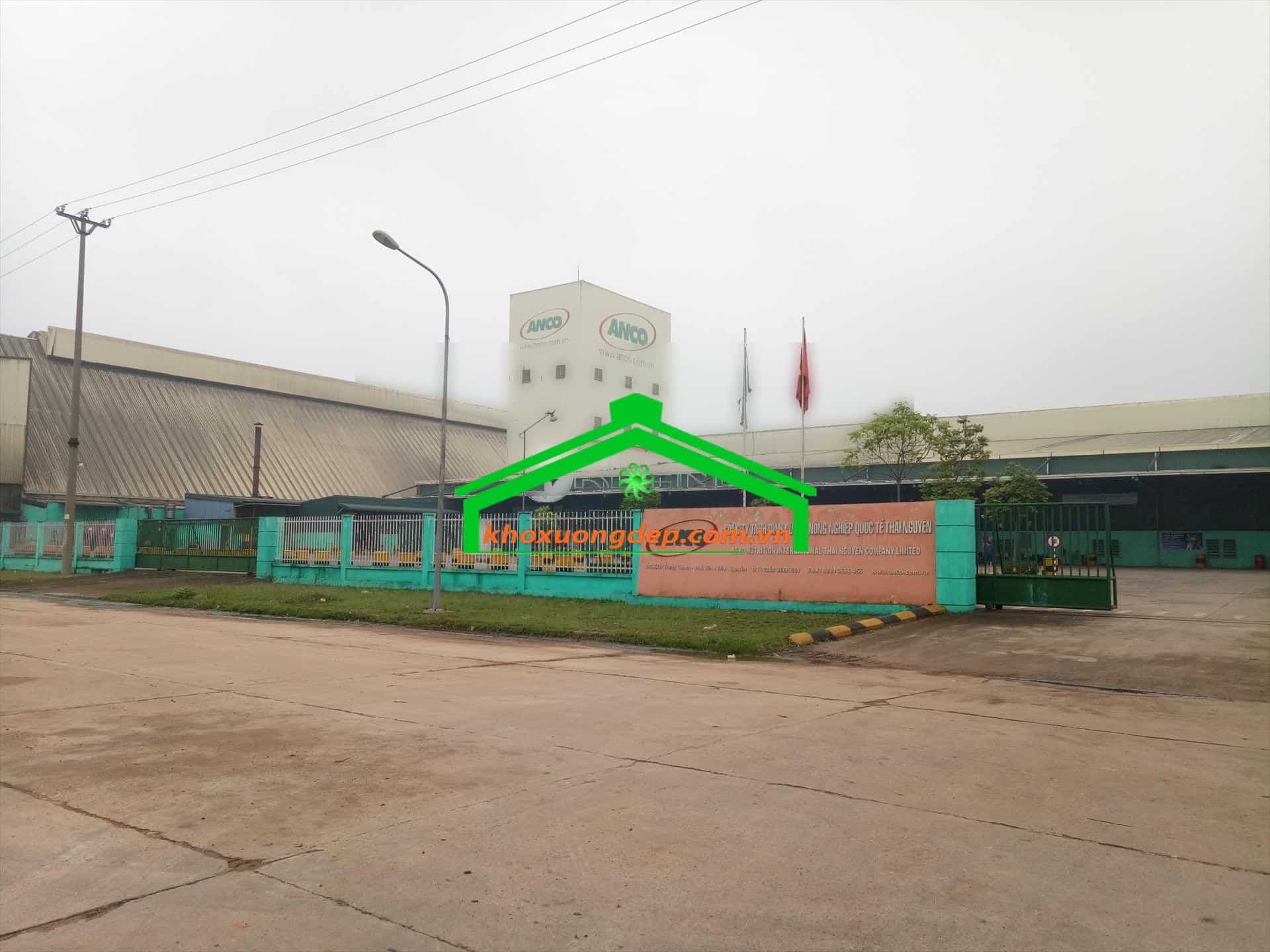 Ảnh 7