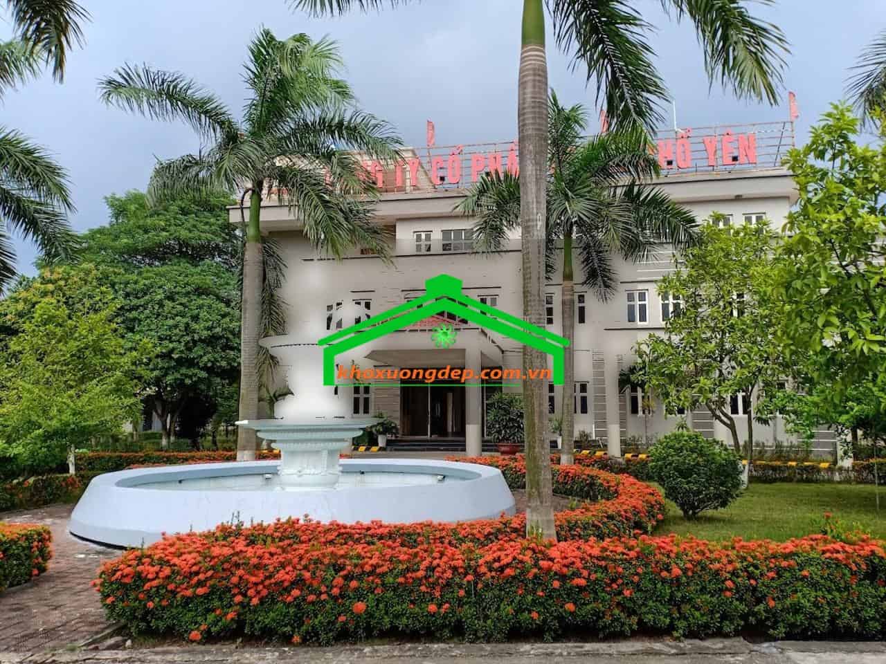 Ảnh 8