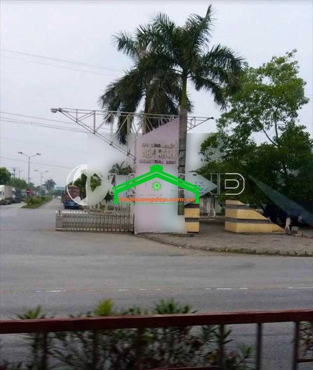 Ảnh 5