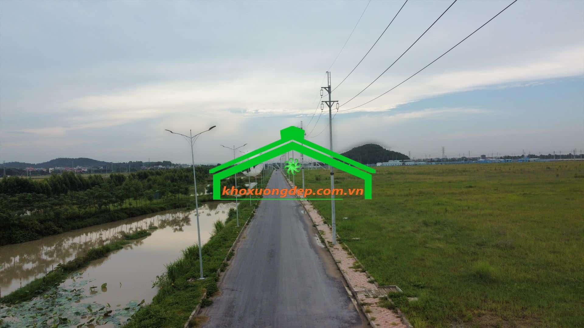 Ảnh 10
