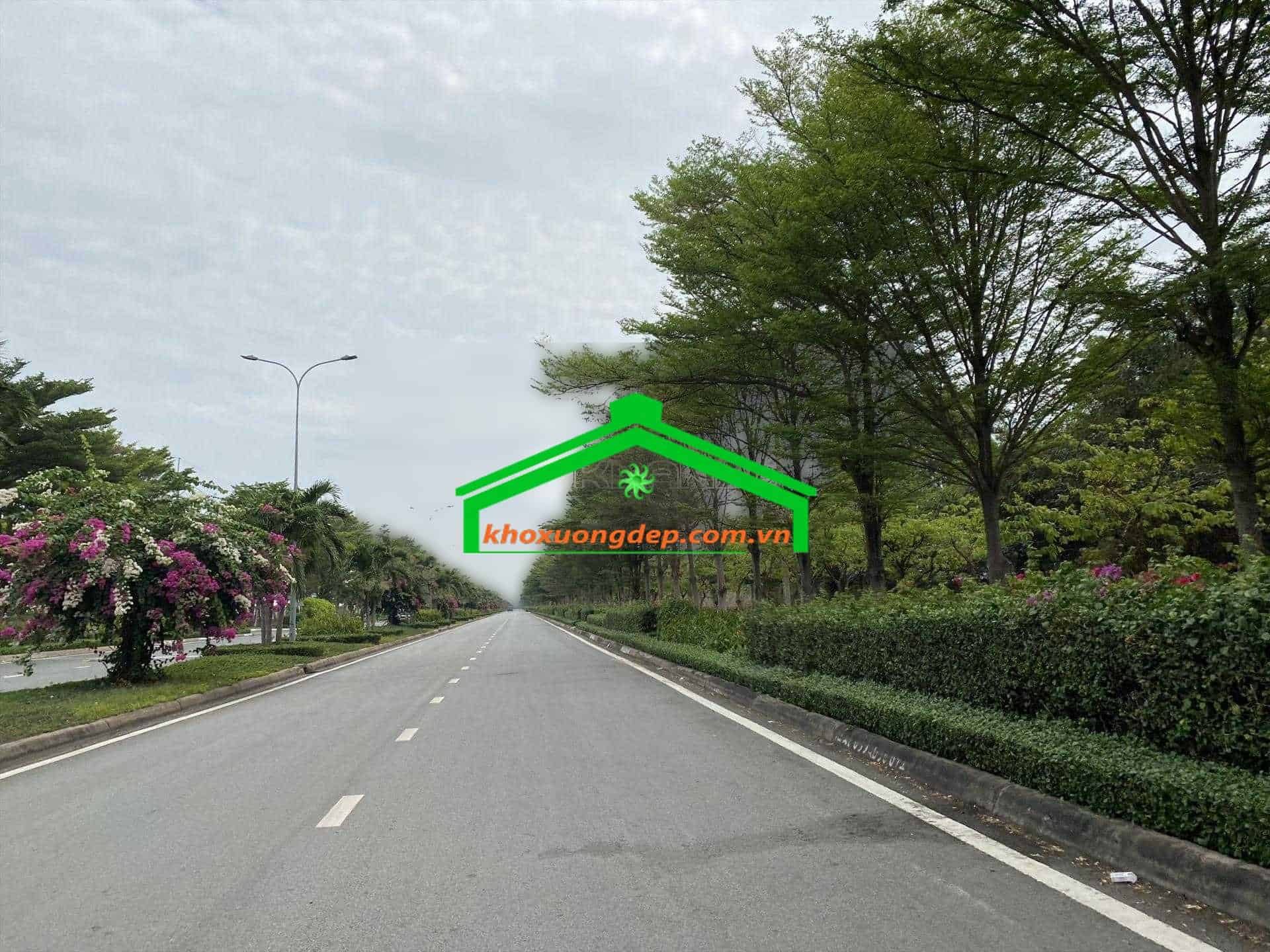 Ảnh 13