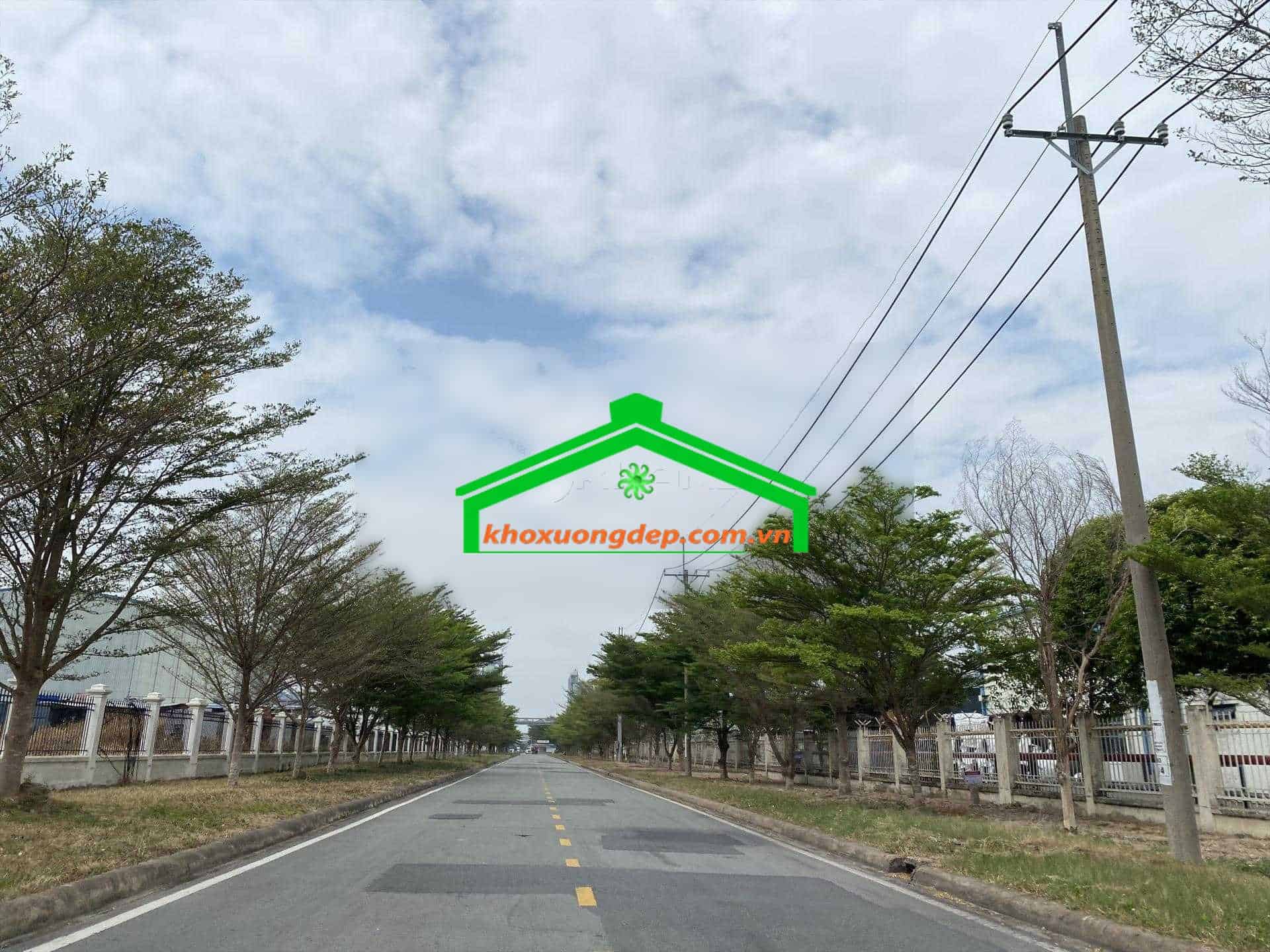 Ảnh 6