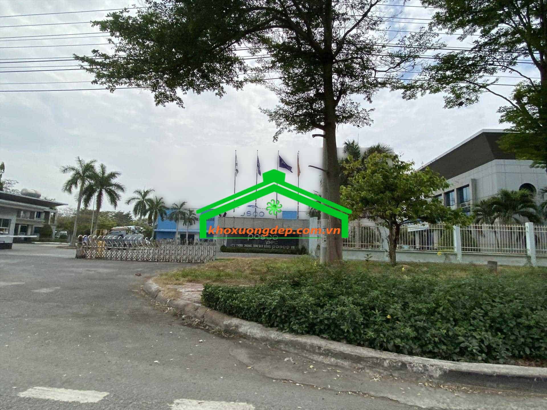 Ảnh 7
