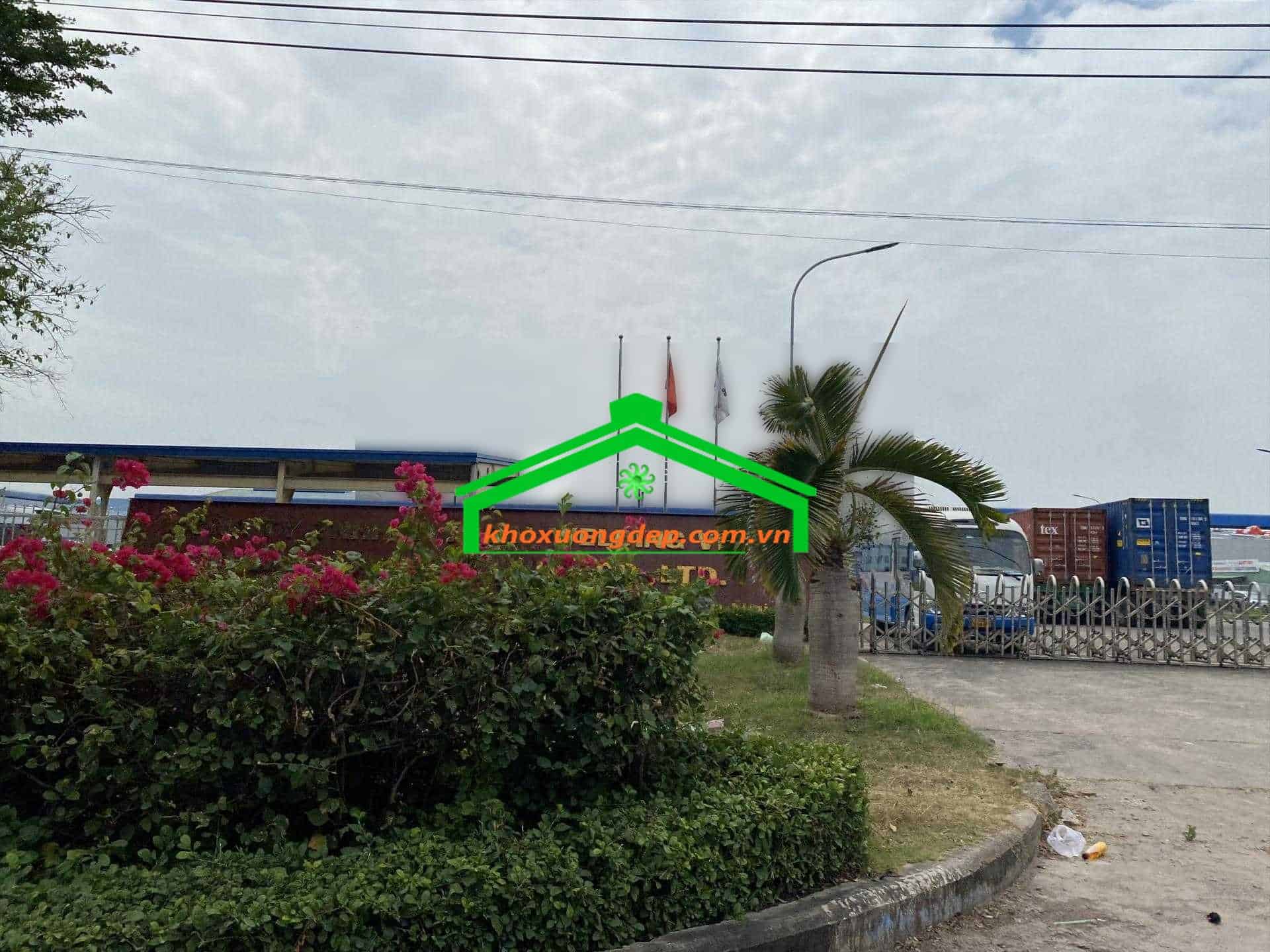 Ảnh 8