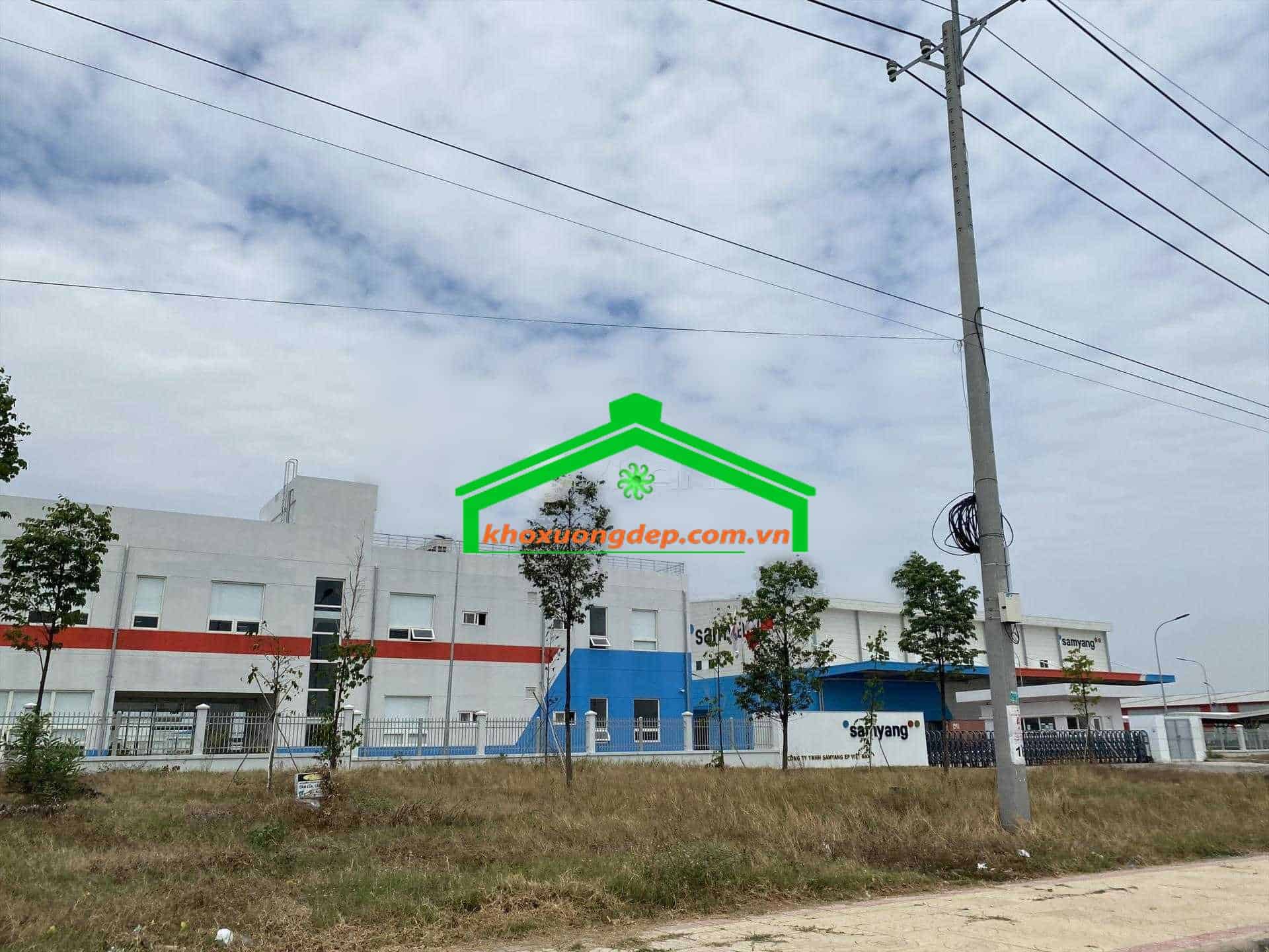 Ảnh 17