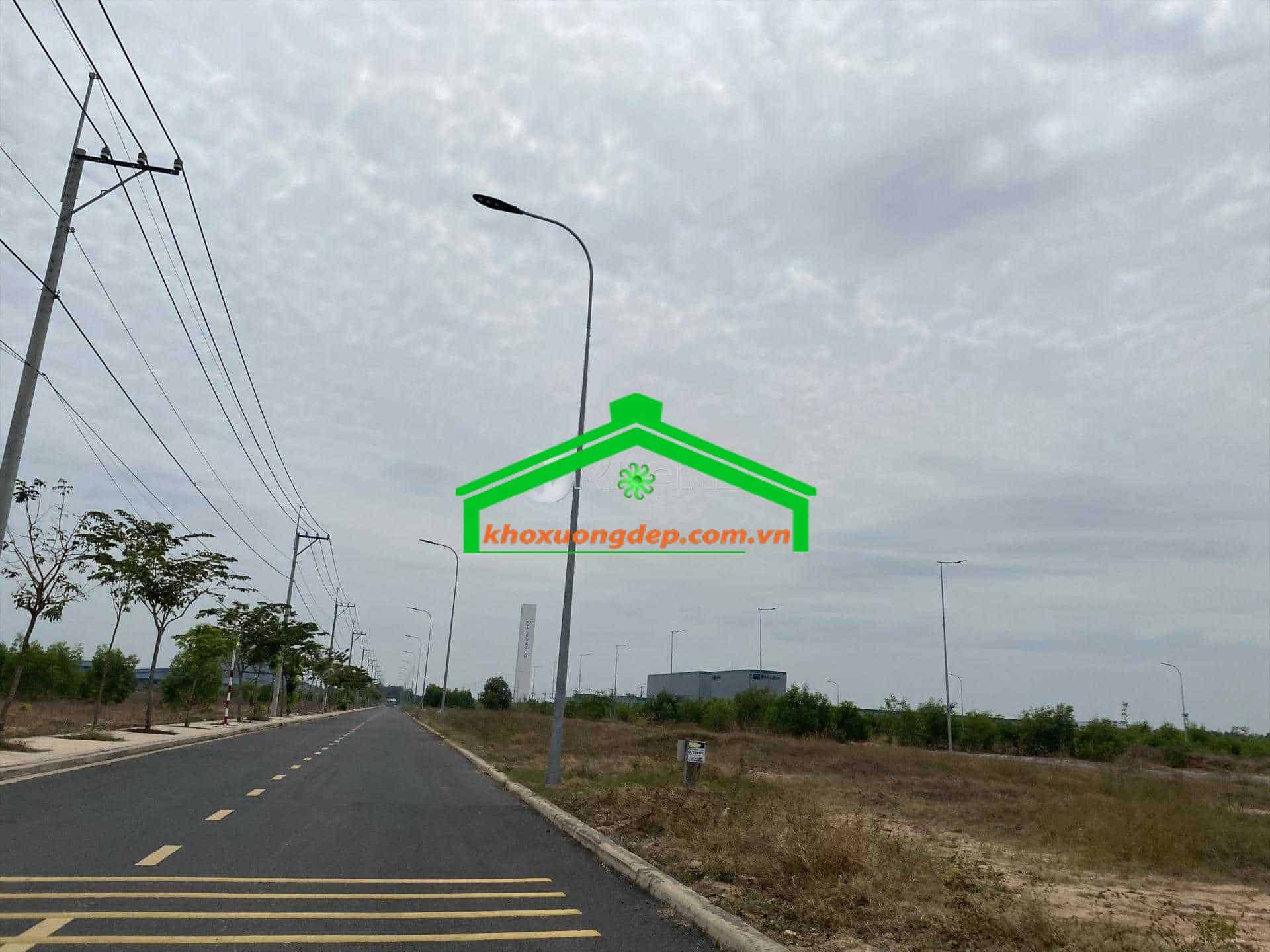 Ảnh 19