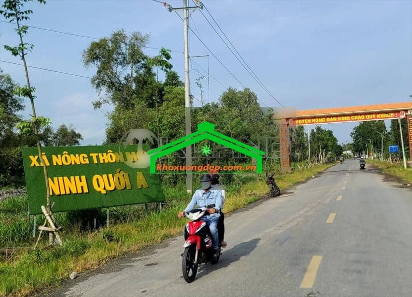 Ảnh 4
