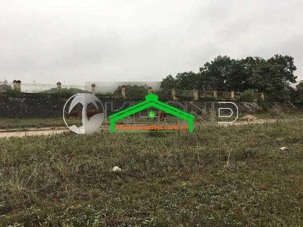 Ảnh 15