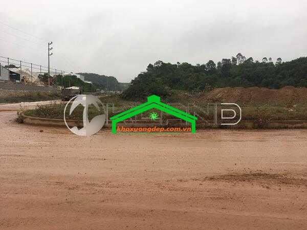 Ảnh 16