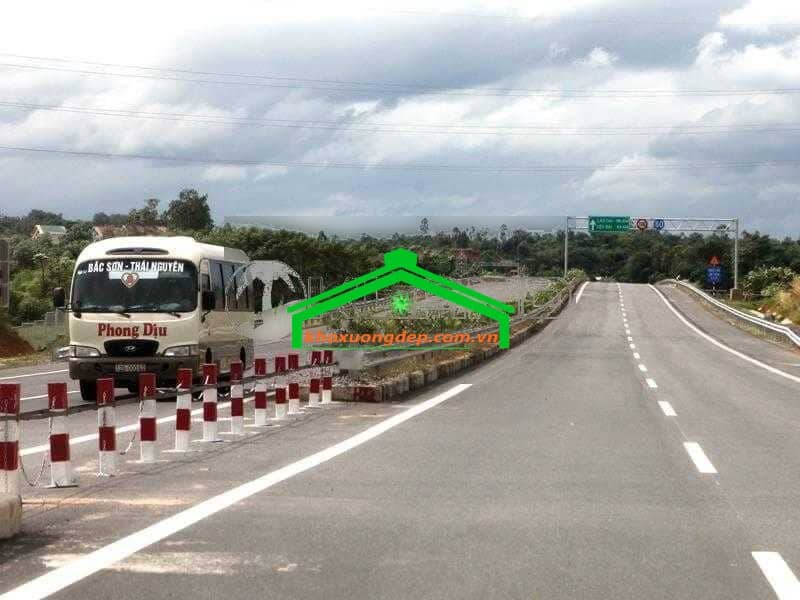 Ảnh 17