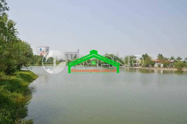 Ảnh 14