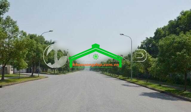 Ảnh 6
