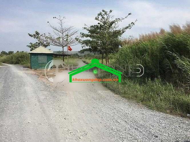 Ảnh 3