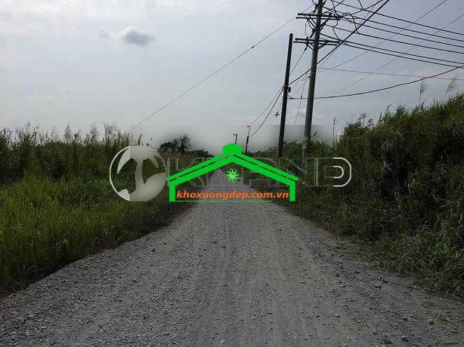 Ảnh 4