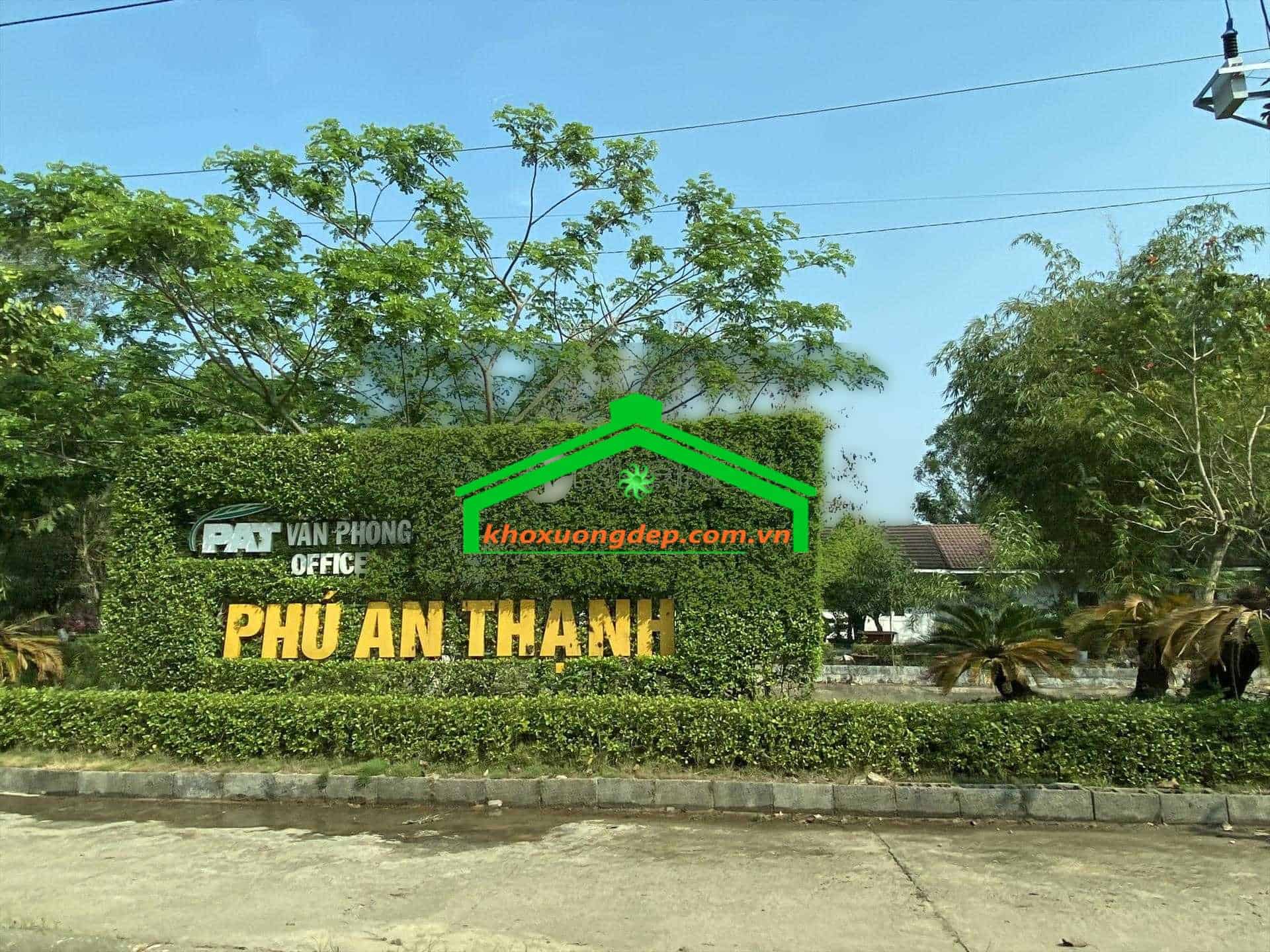 Ảnh 12