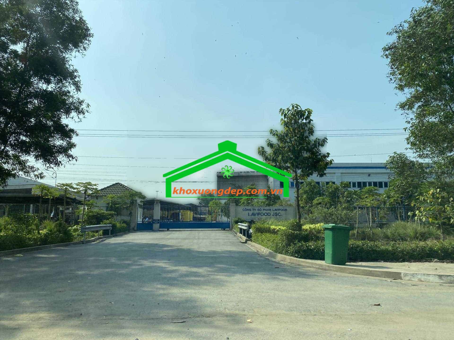 Ảnh 17