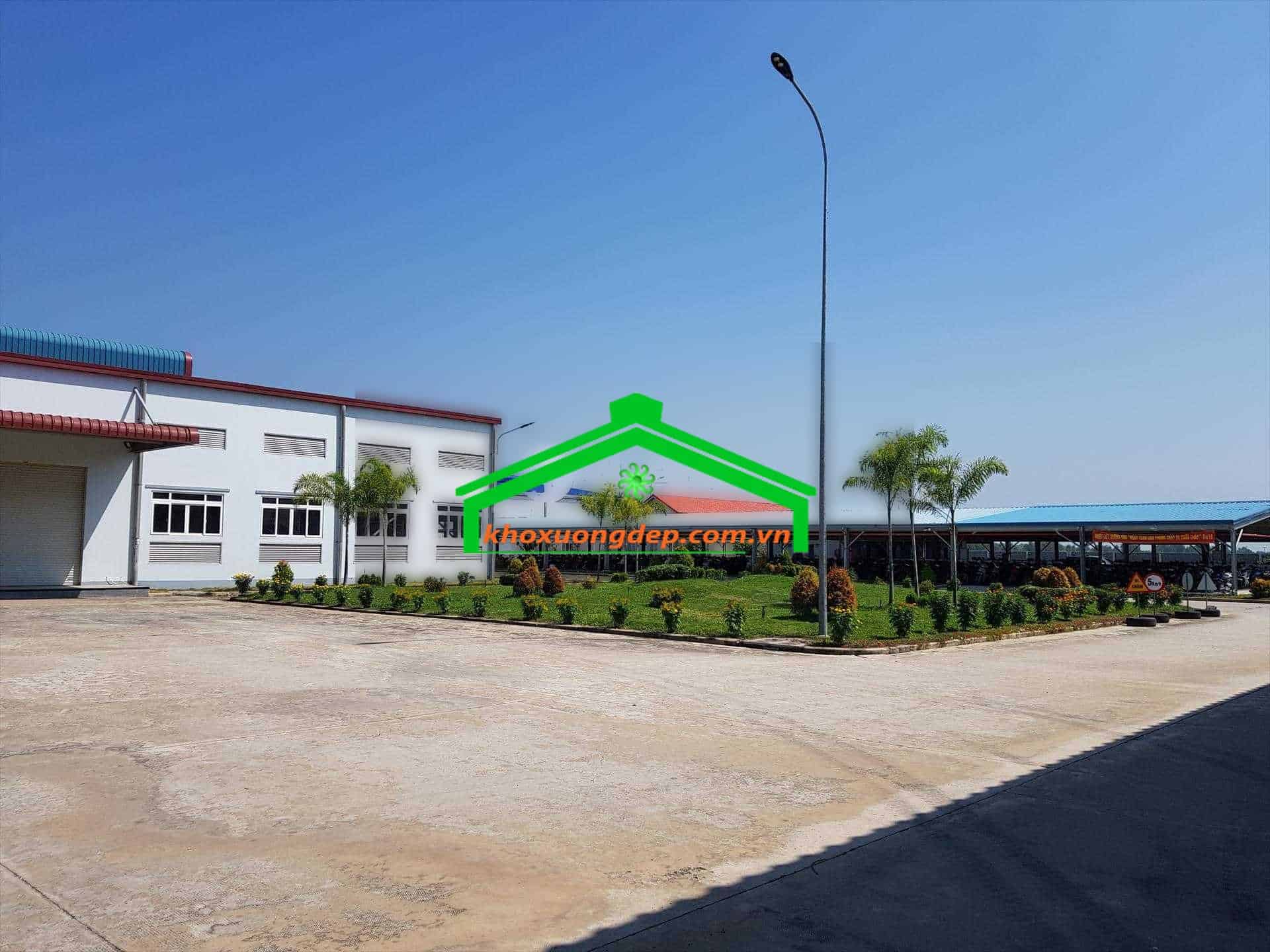 Ảnh 7