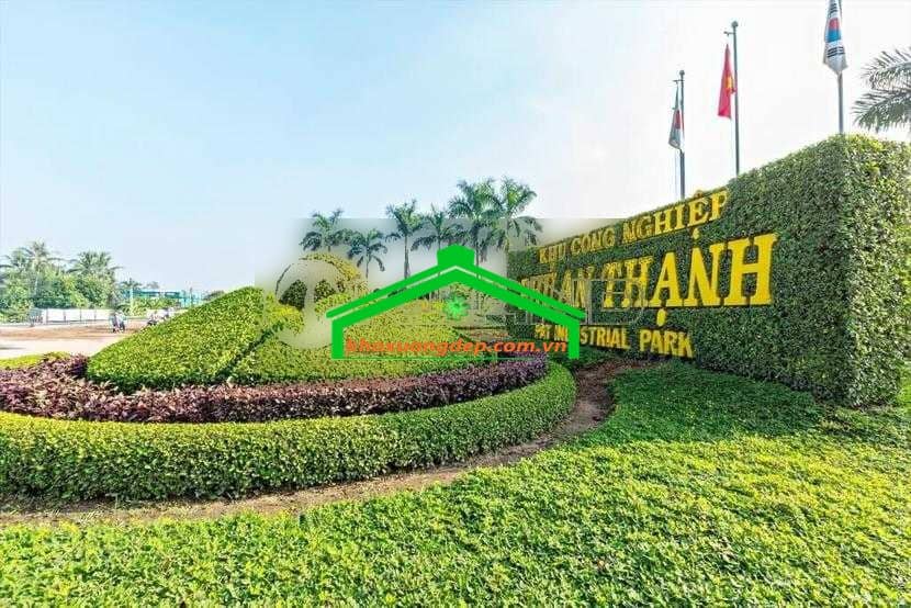 Ảnh 10