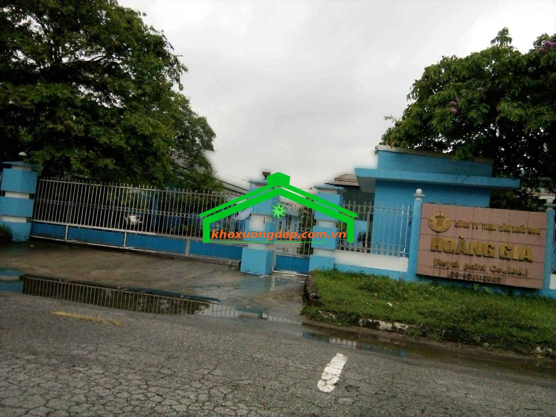 Ảnh 5