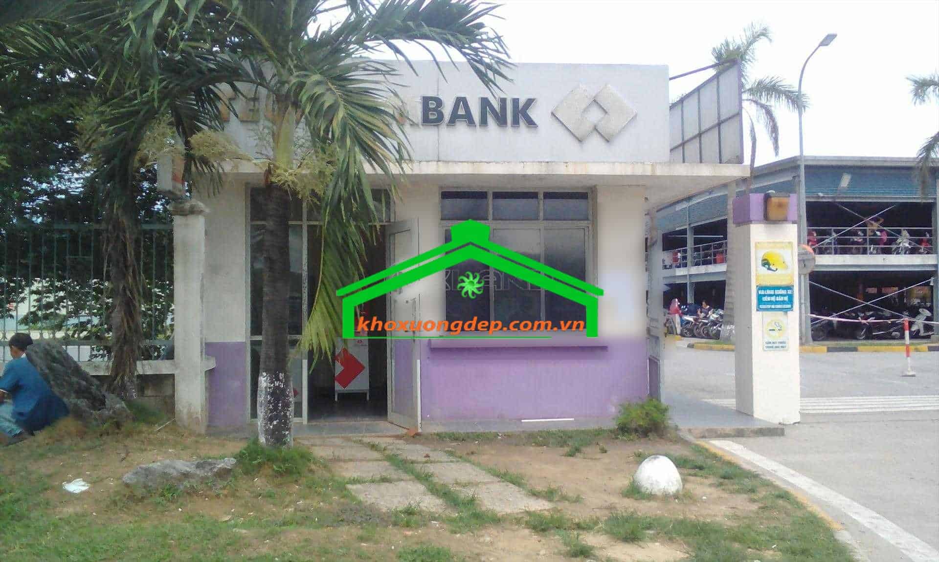 Ảnh 6