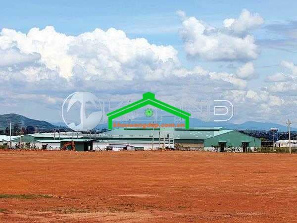 Ảnh 7