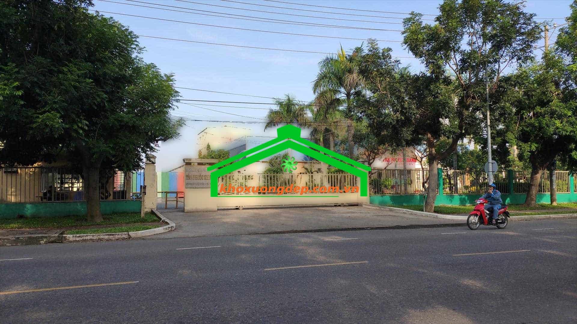 Ảnh 7