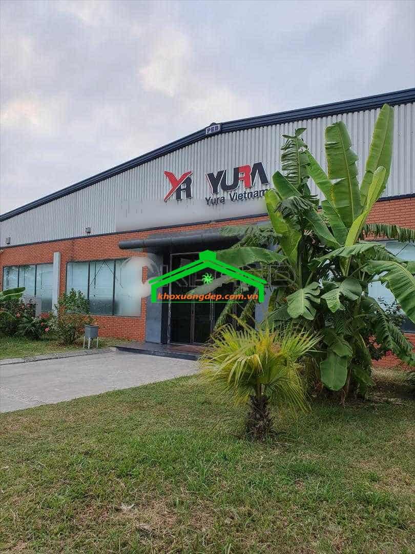 Ảnh 5