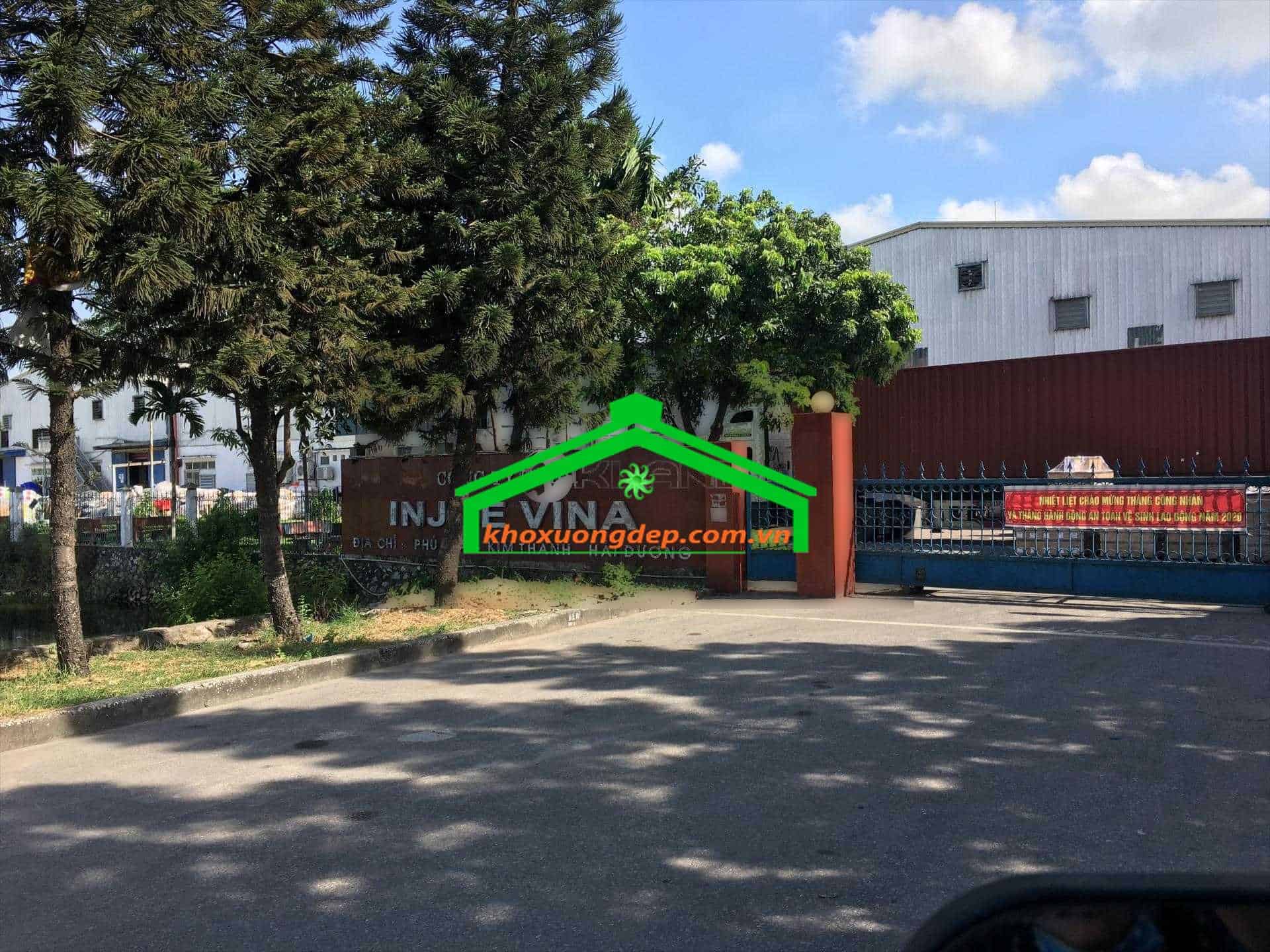 Ảnh 7