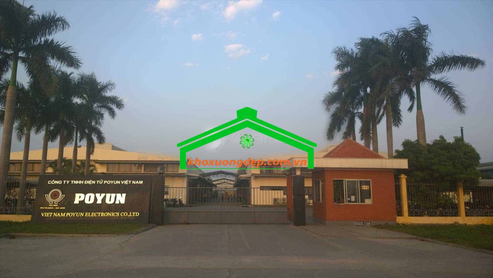 Ảnh 10