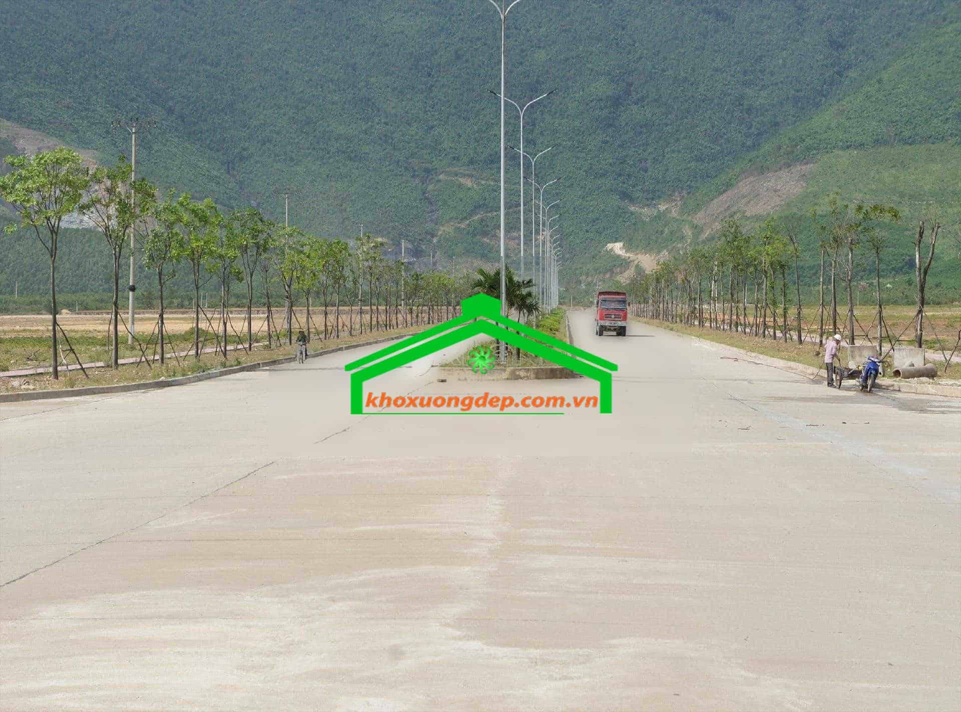 Ảnh 10