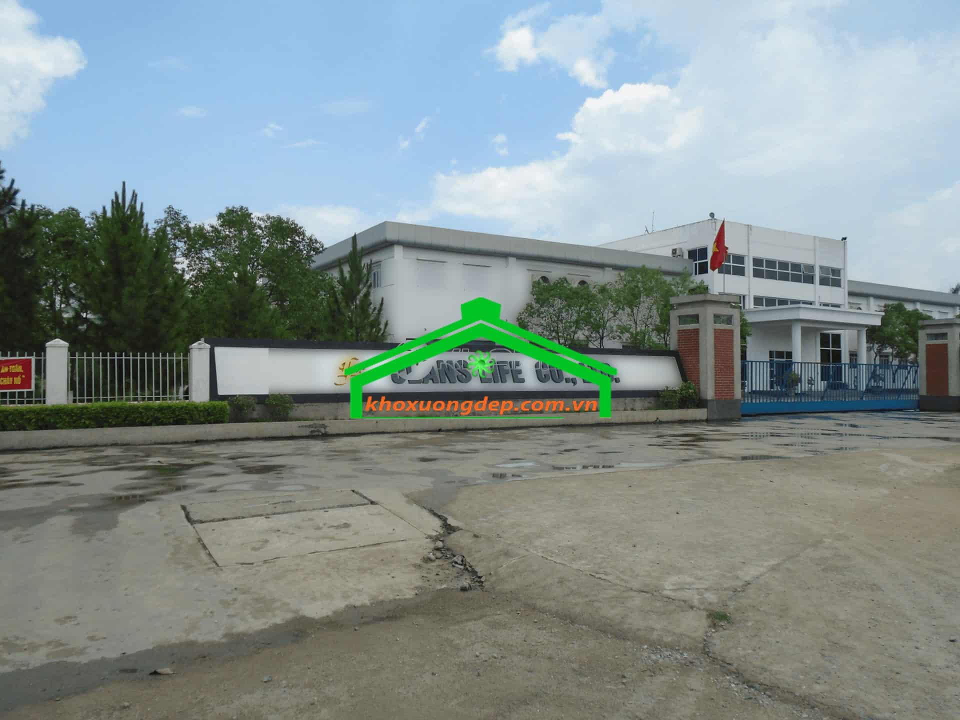 Ảnh 9